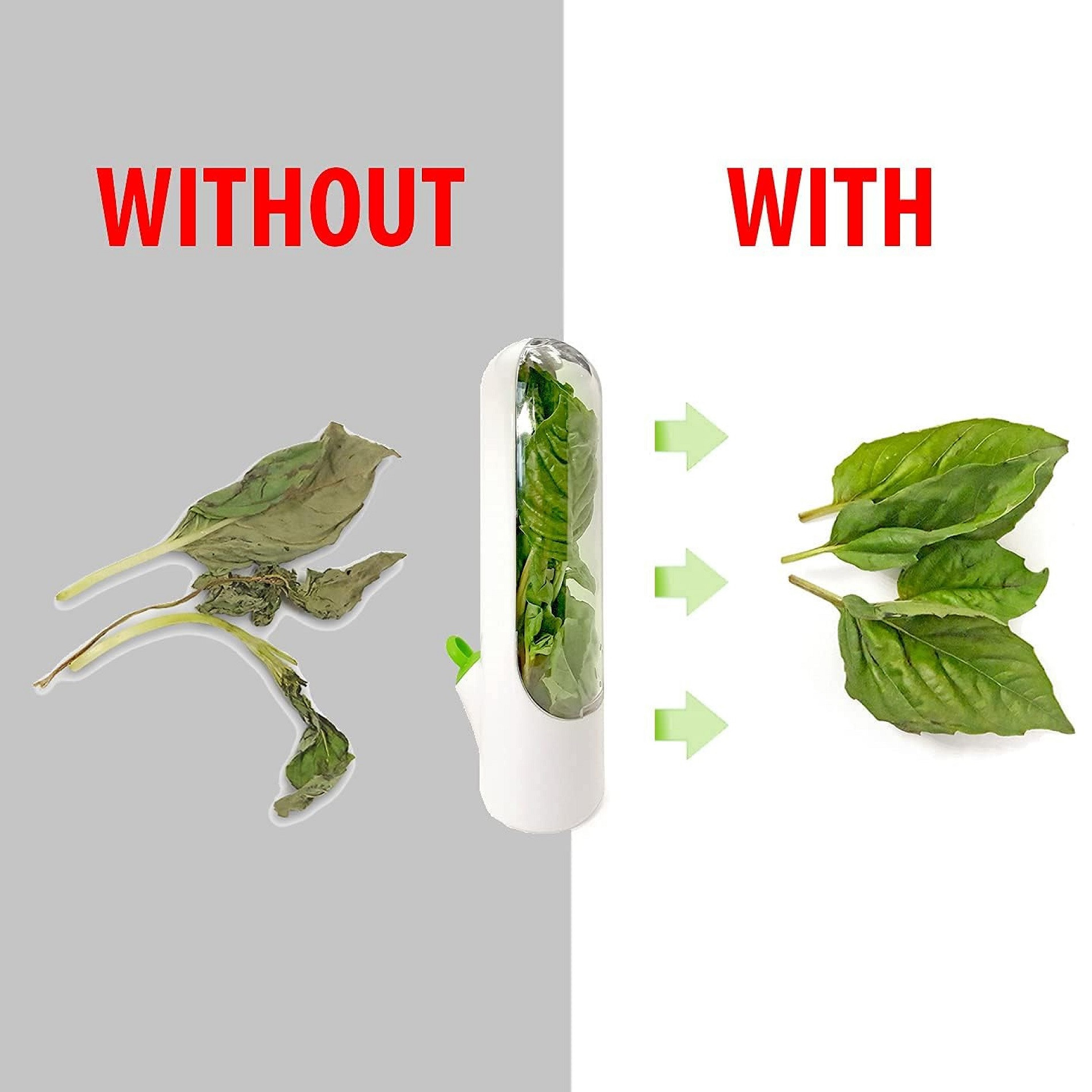 Miniatura 4 de Capsula Contenedor Conservador Hierbas